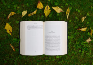 le novità dell'autunno