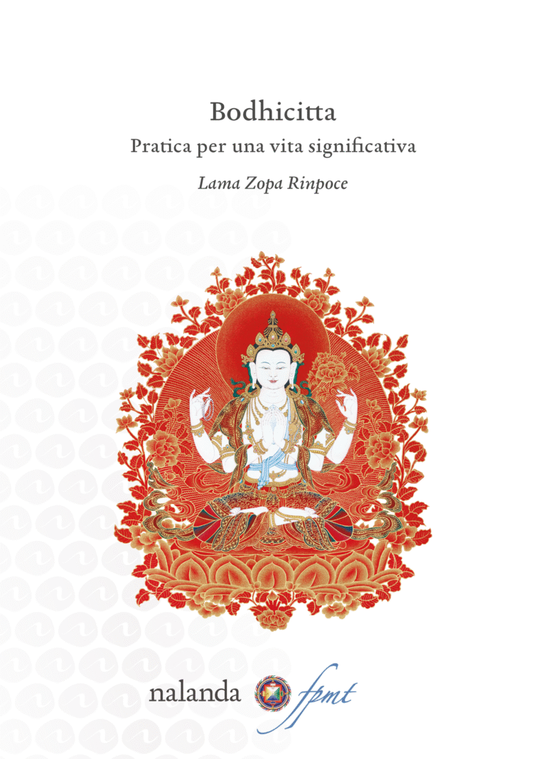 Copertina di Bodhicitta. Pratica per una vita significativa