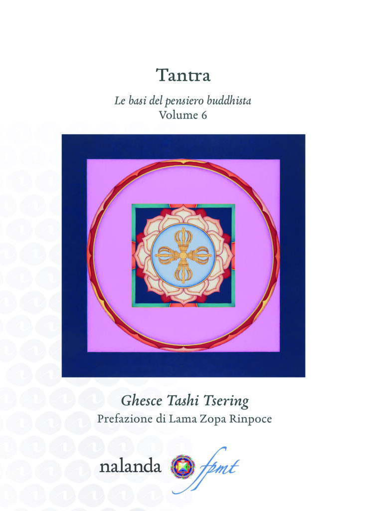 tashi6_light